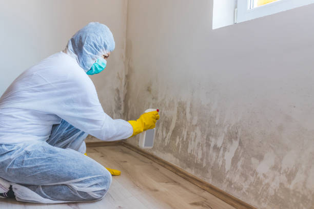 Mold inspector in Sharpsburg performing thermal imaging